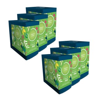 Lot 6x Thé vert Japan Lime - 20 sachets - Boîte 40g