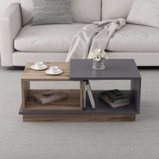 Table basse 2 niches Zéline en bois - Anthracite et beige