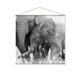 Toile murale imprimée éléphant - 150 x 150 cm - Noir et blanc