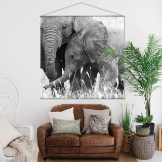 Toile murale imprimée éléphant - 150 x 150 cm - Noir et blanc