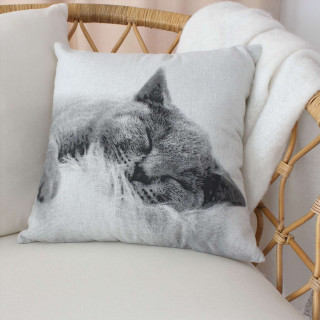 Coussin imprimé chat - 30 x 50 cm - Noir et blanc