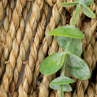 Eucalyptus à suspendre avec pot naturel - H. 70 cm