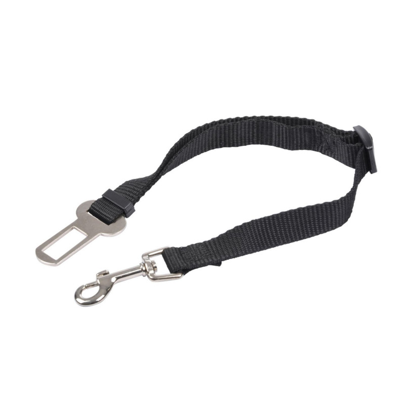 Ceinture de sécurité réglable pour chien