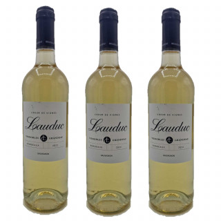 Lot 3x Vin blanc Cœur vignes - Entre-deux-mers - Bouteille 750ml