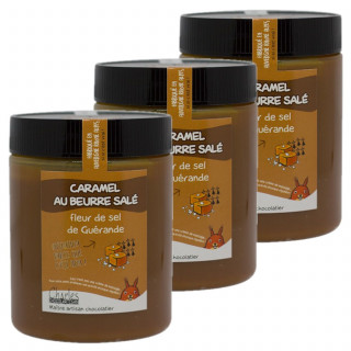 Lot 3x Caramel au beurre salé et à la fleur de sel de Guérande - Pot 570g