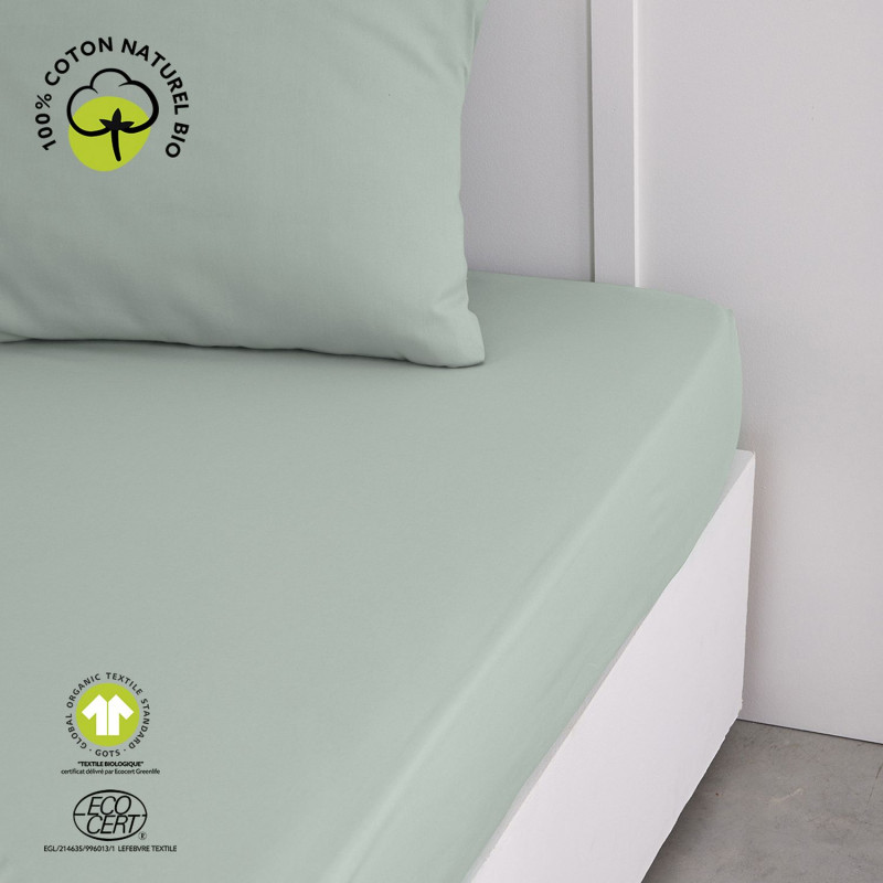 Drap housse 2 places - 100% coton BIO - 180 x 200 cm - Vert céladon