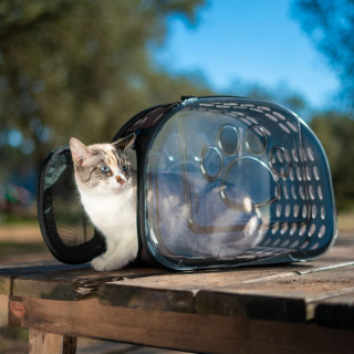 Sac de transport transparent pour chien et chat