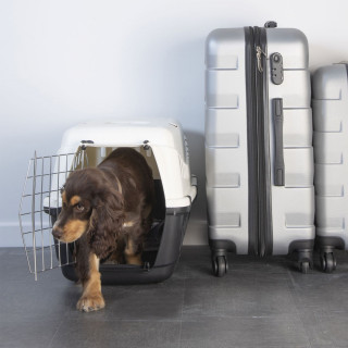 Cage de transport CHEESTER - Blanc et gris anthracite