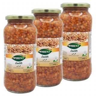Lot 3x Lentilles - Bocal 540g