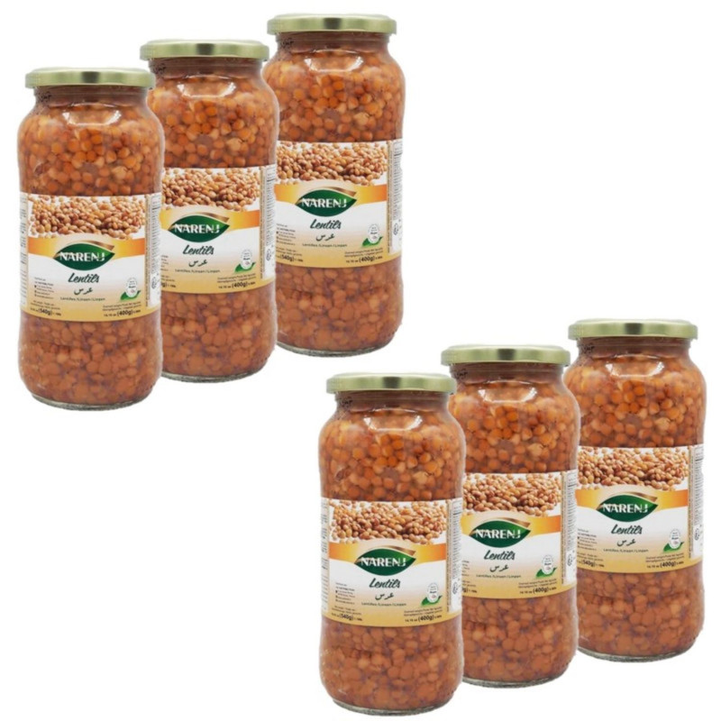 Lot 6x Lentilles - Bocal 540g