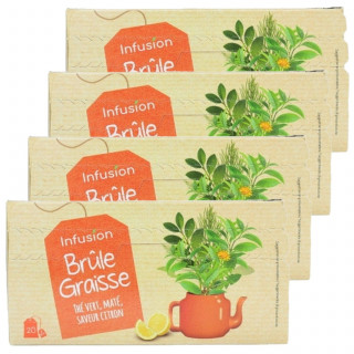 Lot 4x Infusion brûle graisse - Thé vert et maté saveur citron - Boîte 36g