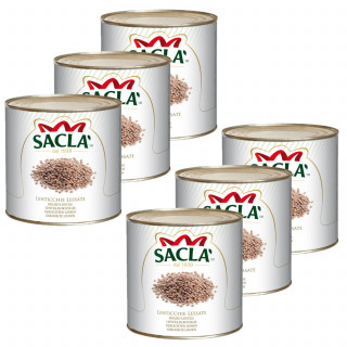 Lot 6x Lentilles au naturel - Conserve 2,5kg