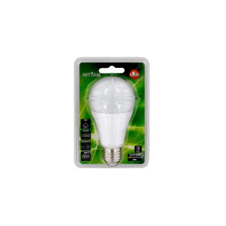 Ampoule LED Globe E27 - 12W