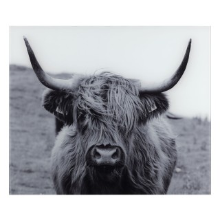 Fond de hotte en verre trempé Highland Cattle - Longueur 60 cm x Largeur 50 cm