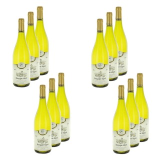 Lot 12x Vin blanc Bourgogne Aligoté AOP - Bouteille 750ml
