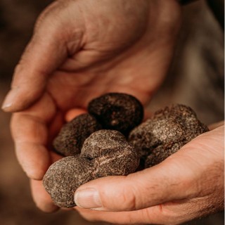 Lot 6x Vinaigre balsamique de Modène au jus de truffe noire 3% - Bouteille 250ml